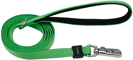 COASTAL Inspire Leash (Option: 5/8 x 6' Green)