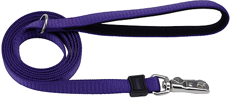 COASTAL Inspire Leash (Option: 5/8 x 6' Purple)
