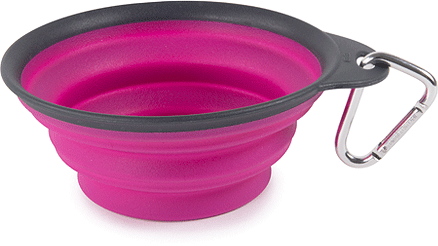 DEXAS Collapsible Travel Cup 2 (Option: cup Fuchsia)