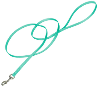 COASTAL Nylon Lead (Option: 4' x 3/8in Teal)