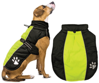 FASHION PET Sporty Jacket Black/Green (Option: XS)