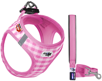 CURLI Puppy Set Pink (Option: XS/Leash M)