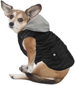 FASHION PET Sporty Puffer Reversible Black (Option: L)