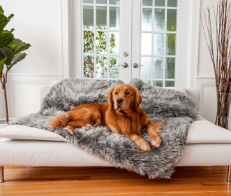 PAW PupProtector Waterproof Throw Blanket Faux Fur Charcoal Grey (Option: Original)