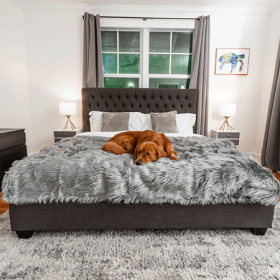 PAW PupProtector Waterproof Throw Blanket Faux Fur Charcoal Grey (Option: L)