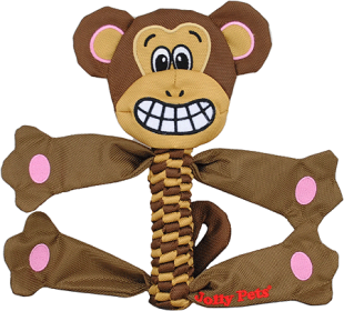 JOLLYPET FLathead (Option: Monkey M)