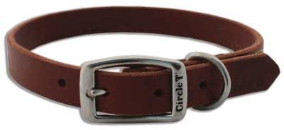 COASTAL Latigo Town Collar (Option: 3/4 x 18)