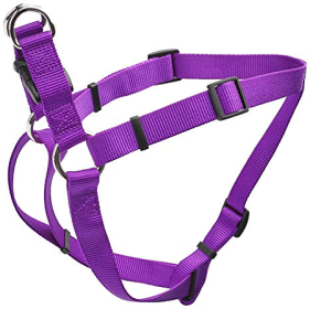 COASTAL Comfort Wrap Harness 5/8 x 16 to24in (Option: Purple)