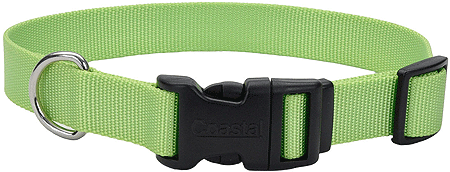COASTAL TUFF Adjustable Dog Collar (Option: 1x18 26 Lime)