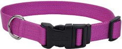 COASTAL TUFF Adjustable Dog Collar