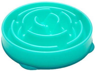 OUTWARD HOUND Slow/Fun Feeder (Option: Teal)