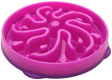 OUTWARD HOUND Slow/Fun Feeder (Option: Purple)